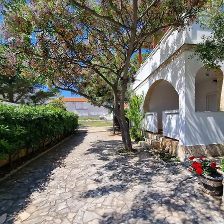 Apartment Podlesek