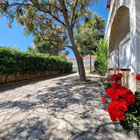 Apartament Podlesek